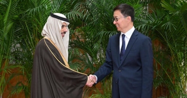 Chinese VP meets delegation of Arab-Islamic foreign ministers