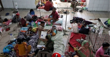 Dengue: 12 more die; 759 hospitalised in 24hrs