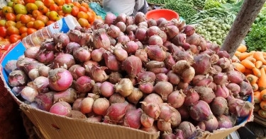 Onion price drops by Tk 40 per kg amid supply of newly harvested varieties