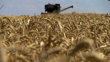 Russia not satisfied with implementation of UN grain memorandum