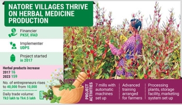 Natore villages unlock economic power of medicinal plants