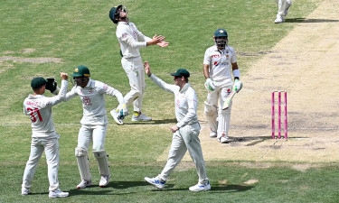 Warner goes out swinging as Australia sweep Pakistan series