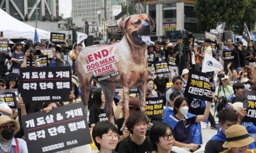 South Korea outlaws dog meat industry