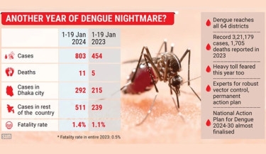 Dengue may unleash fury this year too