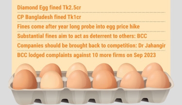 Corporate syndicates behind eggflation