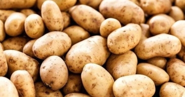 A consignment of potatoes arrives from India to tame price spiraling