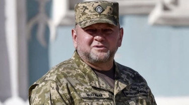 Ukraine army chief Zaluzhny removed from post