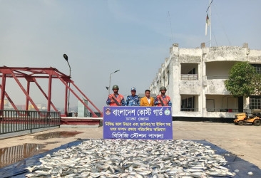 Bangladesh Coast Guard detains seven with jatka
