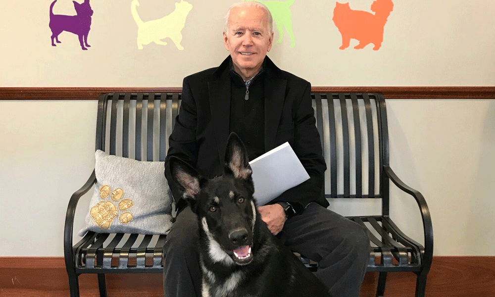 Biden’s troublemaker dog bit Secret Service agents at least 24 times
