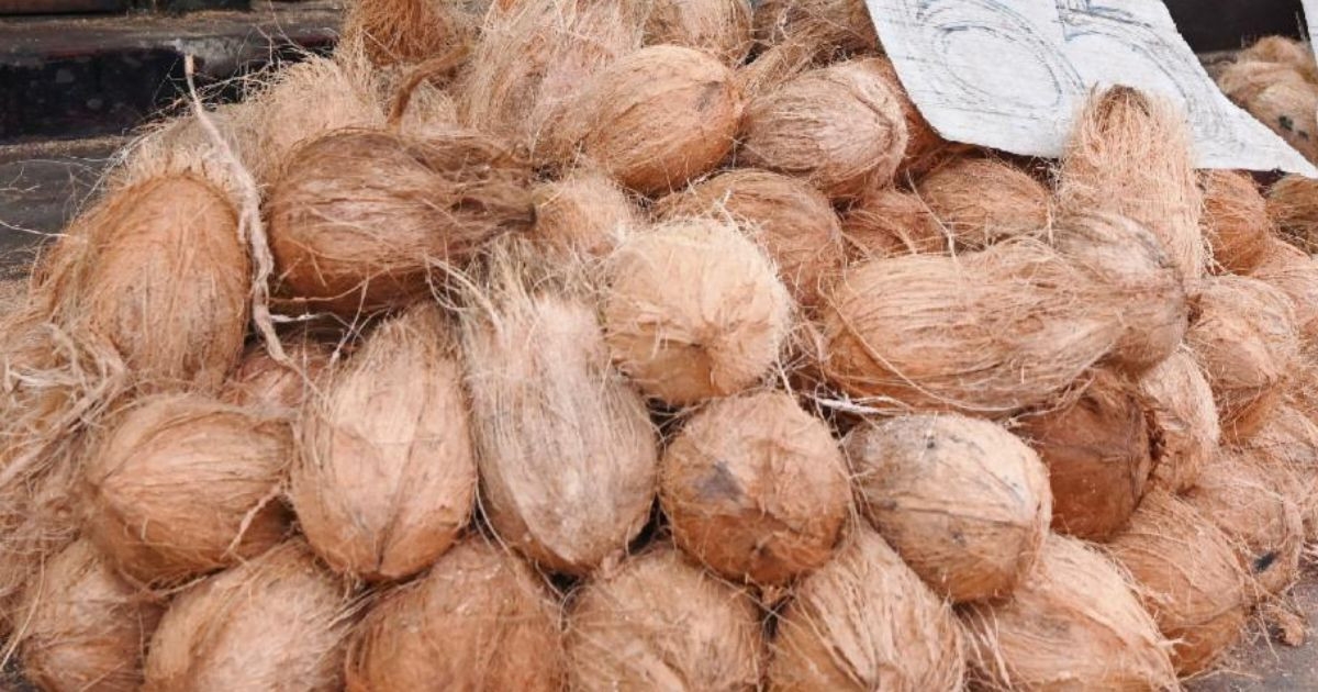 Bangladesh imports Indian coconuts through Hili port