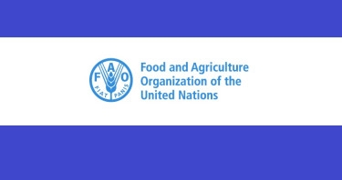 FAO for safer pesticide rules in Bangladesh
