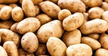 400 tonnes of Indian potatoes reach Benapole port