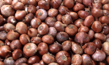 1,650 tonnes of onions coming from India