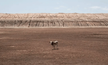 Extreme drought in southern Africa leaves millions hungry