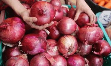 TCB sells Indian onion at Tk40 per kg from today