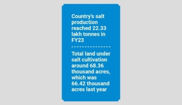 Salt production highest in 63 years