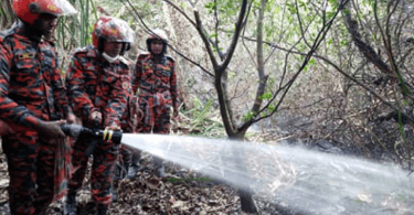 Probe body formed over Sundarbans fire