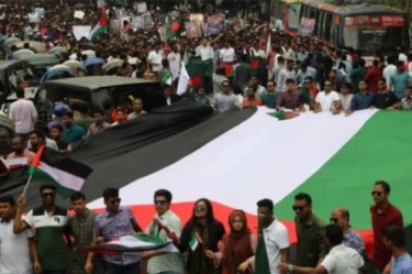 BCL stages solidarity demonstration for Palestine on DU campus